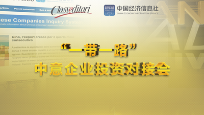 第三届“一带一路”中意企业投资对接会在线上成功举办