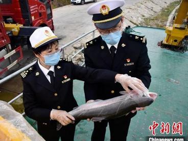 青海省外贸进出口额实现年内首次正增长