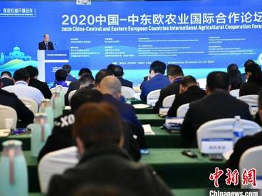 2020中国-中东欧农业国际合作论坛在成都举行