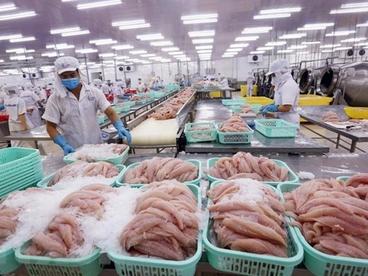 2020年越南查鱼出口额预计达15亿美元