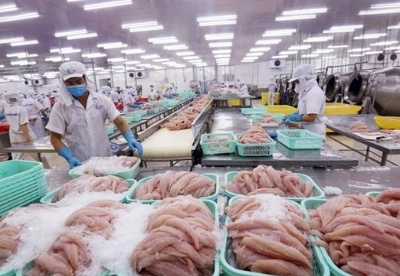 2020年越南查鱼出口额预计达15亿美元