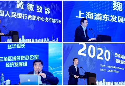2020年安徽省长三角一体化直接融资专题会举办