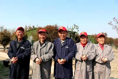 安徽阜阳颍州区：一枚鸡蛋的三产融合发展