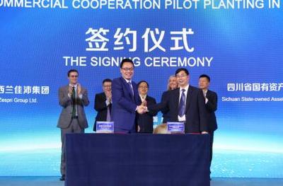 中国已成佳沛全球最大市场 首个奇异果商业化合作种植试点正式启动