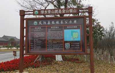 安徽凤阳：优化整合资源  开辟林长制改革新路