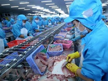 2020年越南水产品出口回稳向好