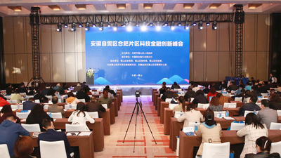 民生银行合肥分行与合肥蜀山区政府联合举办“安徽自贸区合肥片区科技金融创新峰会”