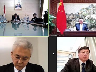 “中塔‘一带一路’合作：机遇与挑战”视频会议举行