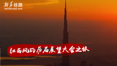 红西凤的历届展望大会之旅