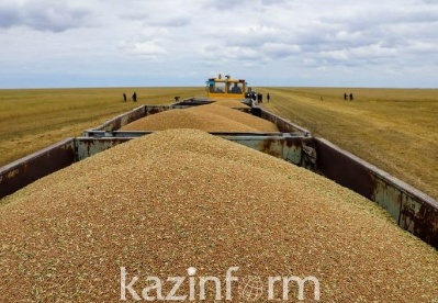 哈萨克斯坦本年度粮食出口情况