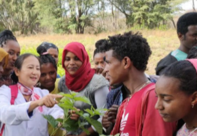 中国教师援助埃塞俄比亚农业职业教育