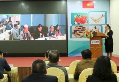 越南与中国企业技术和设备供需对接会在海防市举行