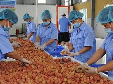 越南力争实现今年农林水产品出口额达410亿美元以上的目标