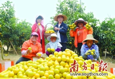 廉江红橙节暨家电博览会举行  ​“红橙+N”激发转型升级澎湃新动力