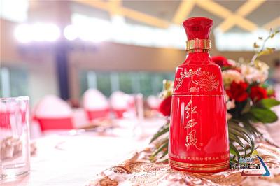 2020中国品牌日西凤酒品鉴会现场