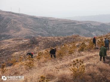 从“靠山吃山”到“靠山养山”“靠山富山”