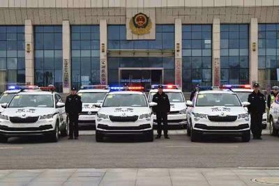 安徽定远举行警车发放仪式