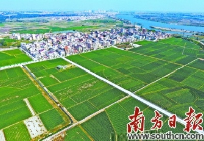 湛江：跑好脱贫攻坚与乡村振兴接力赛