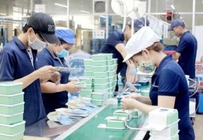 11月份越南新设企业数量环比增长7.3%