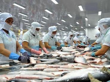 越南对中国的查鱼出口额达近3.86亿美元