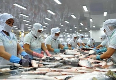 越南对中国的查鱼出口额达近3.86亿美元