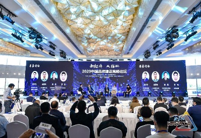 “新经济 双循环” 2020中国品牌建设高峰论坛在上海举行