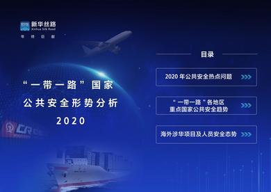 "一带一路"国家公共安全形势分析2020