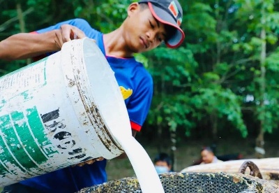 前10月柬埔寨橡胶出口创收3.18亿美元