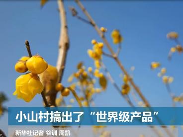 小山村搞出了“世界级产品”