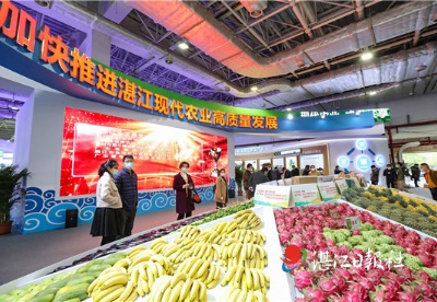 湛江明星特色农产品发布会举行 加快推进现代农业高质量发展