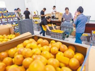 共享中国机遇 共促复苏增长