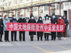 可爱的河北大地的“红袖章”与“红马甲”们——中国大地保险河北分公司员工逆行而上战疫情