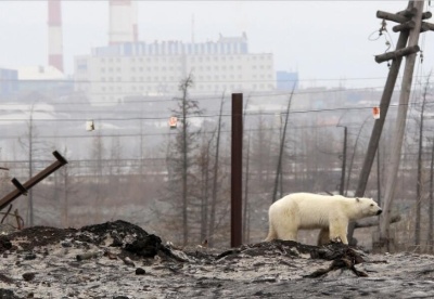 俄罗斯谁负责缓解气候变化的影响
