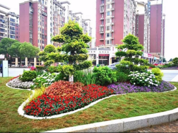 蚌埠龙子湖区：加快推进绿化提升工程建设
