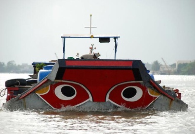 加强印度与湄公河次区域的战略联系
