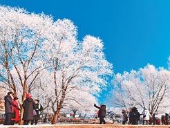 冰雪旅游收入可观