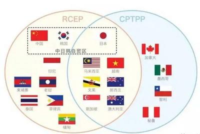 高洪：在做大做强RCEP基础上考虑加入CPTPP