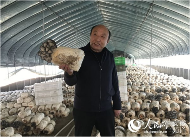 “中国好人”丁伦保和他的蘑菇世界