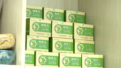 宿州埇桥区：青青艾草香 致富新产业