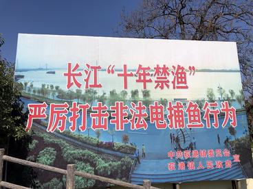 安徽荻港镇：稳岗就业有补助 渔民上岸有保障
