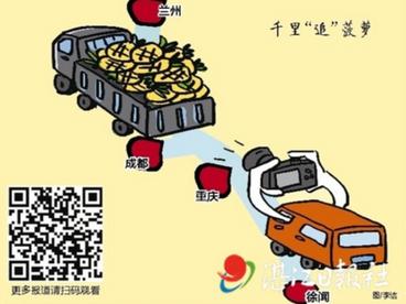 湛江日报社“西部陆海新通道上的徐闻菠萝”系列报道启动