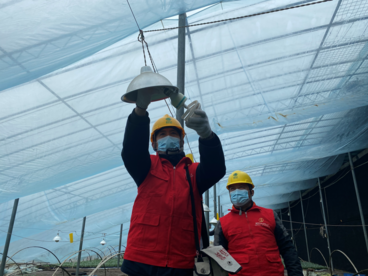 宿州供电：电力赋能打造乡村产业  振兴“果蔬小镇”