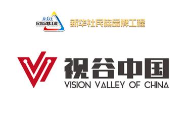 视谷中国：视觉服务中国，一站式为您打造专属优质视觉内容 