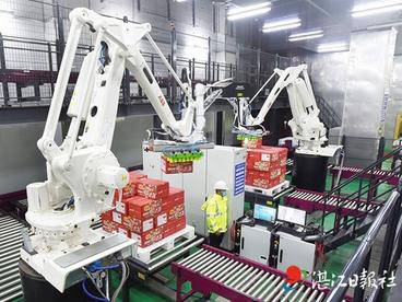 湛江启动“营商环境整治提升年”活动，重点开展“八个专项整治”