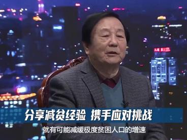 解析中国减贫密码（下）