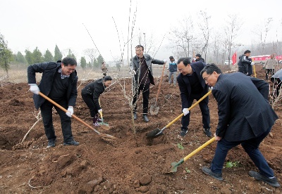 淮北杜集区组织开展义务植树活动