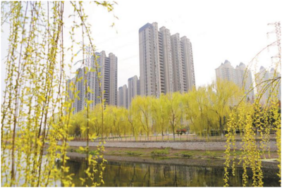 安徽濉溪：构建大环境空间景观绿化格局 