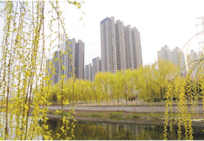 安徽濉溪：构建大环境空间景观绿化格局 