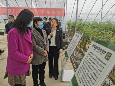 “学习强国”长三角学习联盟走进安徽蒙城绿色农产品生产基地