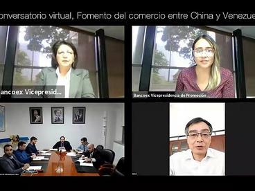 驻委内瑞拉使馆经商参赞出席中委贸易促进网络研讨会